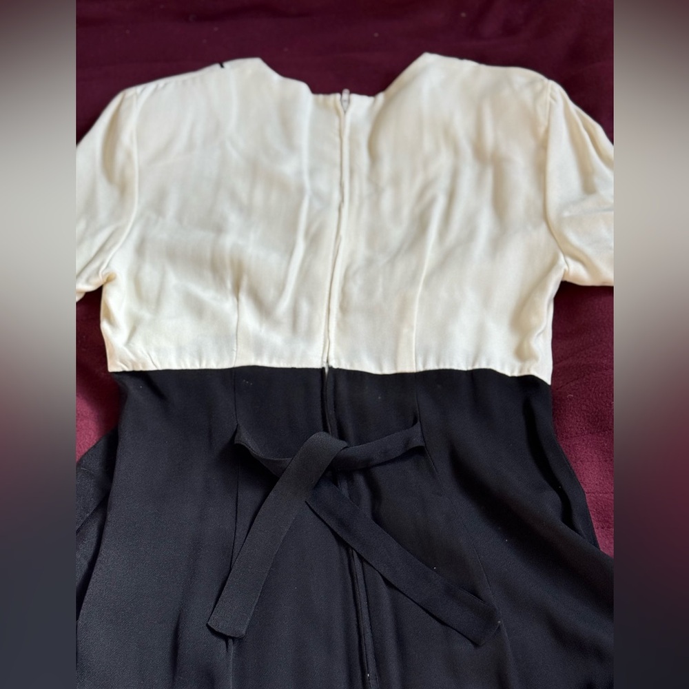 Vintage Elegant Black and White Dress - Picture 5 of 11
